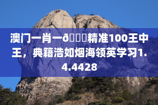 澳门一肖一🐎精准100王中王，典籍浩如烟海领英学习1.4.4428