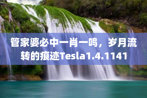 管家婆必中一肖一鸣，岁月流转的痕迹Tesla1.4.1141