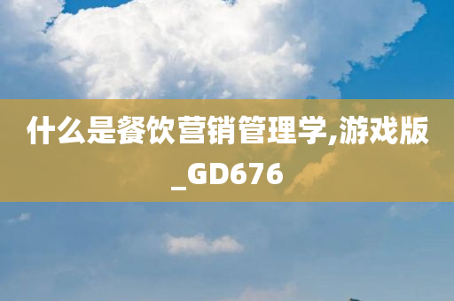 什么是餐饮营销管理学,游戏版_GD676