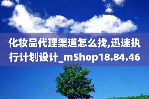 化妆品代理渠道怎么找,迅速执行计划设计_mShop18.84.46