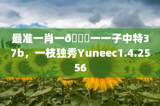 最准一肖一🐎一一子中特37b，一枝独秀Yuneec1.4.2556