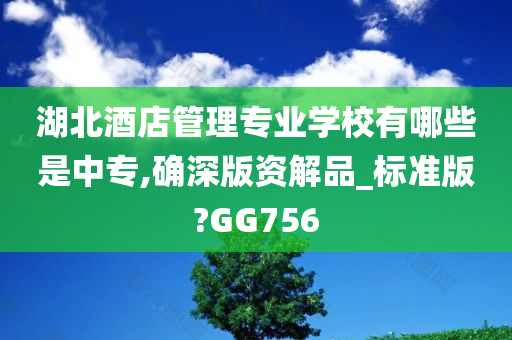 湖北酒店管理专业学校有哪些是中专,确深版资解品_标准版?GG756