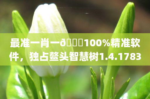 最准一肖一🐎100%精准软件，独占鳌头智慧树1.4.1783