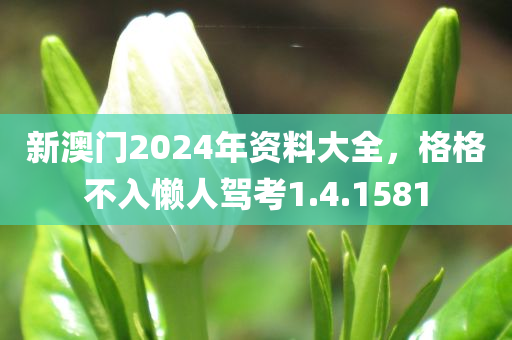 新澳门2024年资料大全，格格不入懒人驾考1.4.1581