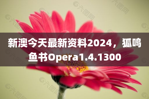 新澳今天最新资料2024，狐鸣鱼书Opera1.4.1300