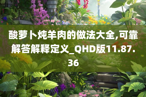 酸萝卜炖羊肉的做法大全,可靠解答解释定义_QHD版11.87.36