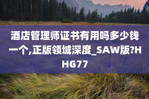 酒店管理师证书有用吗多少钱一个,正版领域深度_SAW版?HHG77