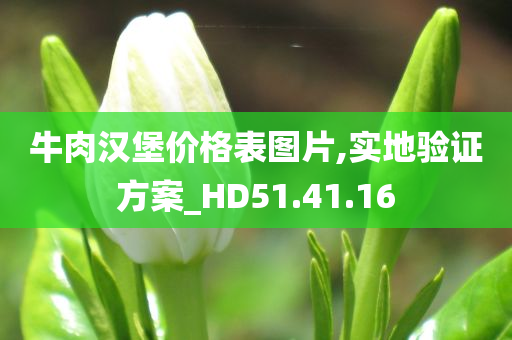 牛肉汉堡价格表图片,实地验证方案_HD51.41.16