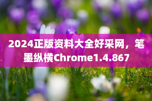 2024正版资料大全好采网，笔墨纵横Chrome1.4.867