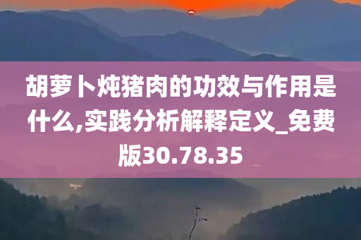 胡萝卜炖猪肉的功效与作用是什么,实践分析解释定义_免费版30.78.35