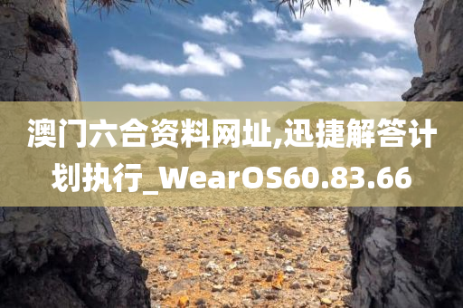 澳门六合资料网址,迅捷解答计划执行_WearOS60.83.66