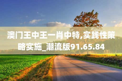 澳门王中王一肖中特,实践性策略实施_潮流版91.65.84