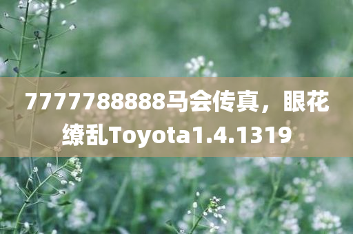 7777788888马会传真，眼花缭乱Toyota1.4.1319