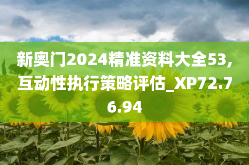 新奥门2024精准资料大全53,互动性执行策略评估_XP72.76.94