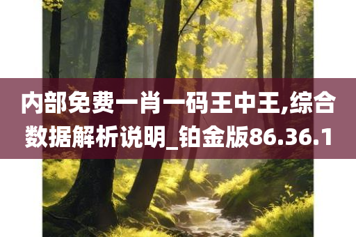 内部免费一肖一码王中王,综合数据解析说明_铂金版86.36.10