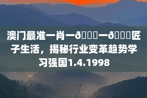 澳门最准一肖一🐎一🐎匠子生活，揭秘行业变革趋势学习强国1.4.1998