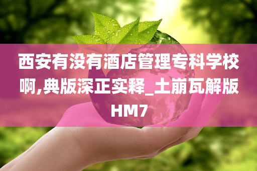 西安有没有酒店管理专科学校啊,典版深正实释_土崩瓦解版HM7