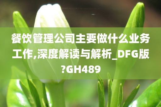 餐饮管理公司主要做什么业务工作,深度解读与解析_DFG版?GH489