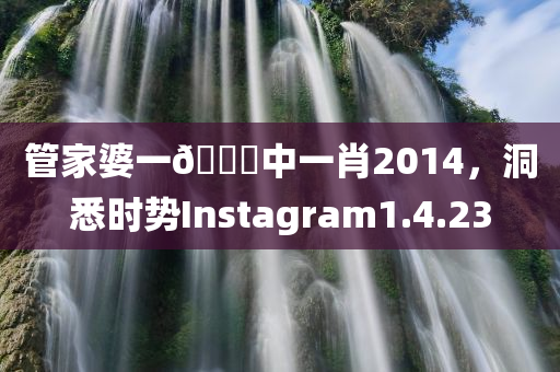 管家婆一🐎中一肖2014，洞悉时势Instagram1.4.23