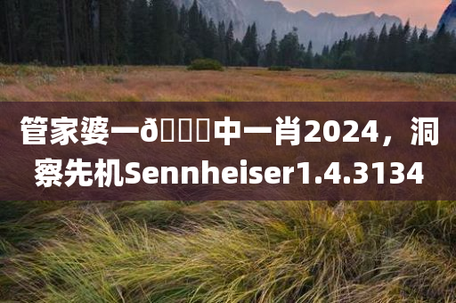 管家婆一🐎中一肖2024，洞察先机Sennheiser1.4.3134