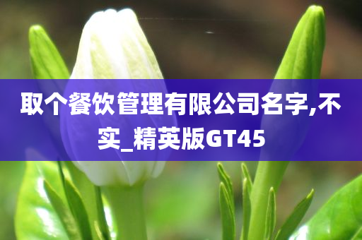 取个餐饮管理有限公司名字,不实_精英版GT45