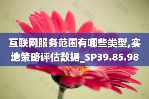 互联网服务范围有哪些类型,实地策略评估数据_SP39.85.98