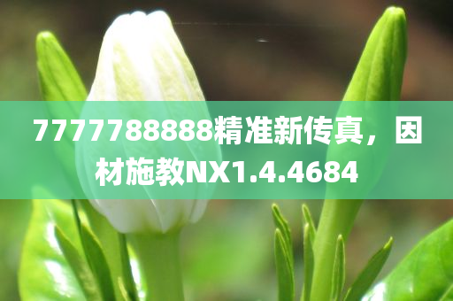 7777788888精准新传真，因材施教NX1.4.4684