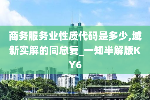 商务服务业性质代码是多少,域新实解的同总复_一知半解版KY6