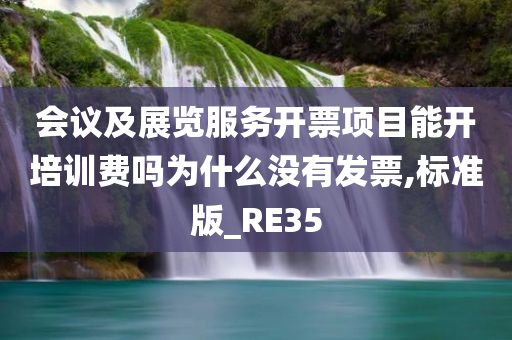 会议及展览服务开票项目能开培训费吗为什么没有发票,标准版_RE35