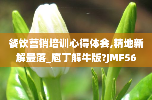 餐饮营销培训心得体会,精地新解最落_庖丁解牛版?JMF56