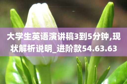 大学生英语演讲稿3到5分钟,现状解析说明_进阶款54.63.63