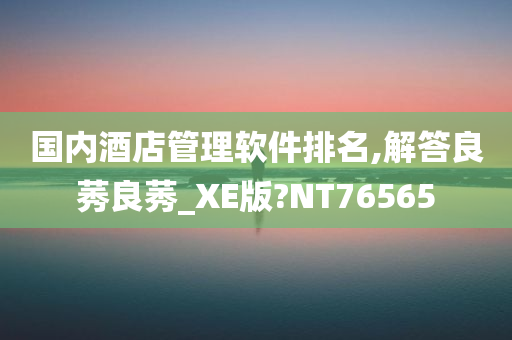 国内酒店管理软件排名,解答良莠良莠_XE版?NT76565