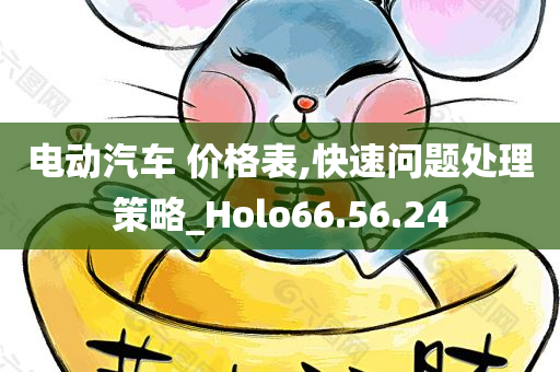 电动汽车 价格表,快速问题处理策略_Holo66.56.24