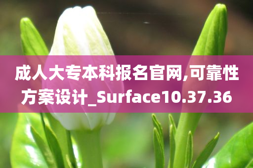 成人大专本科报名官网,可靠性方案设计_Surface10.37.36