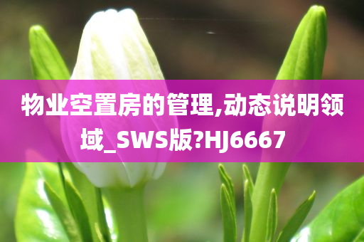 物业空置房的管理,动态说明领域_SWS版?HJ6667