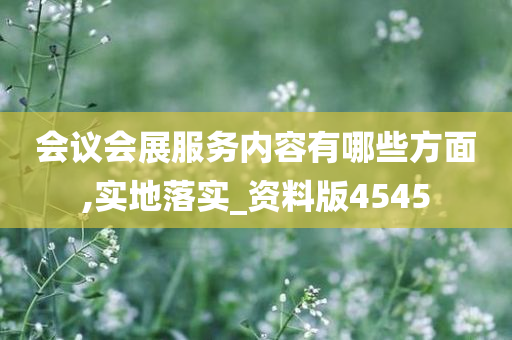 会议会展服务内容有哪些方面,实地落实_资料版4545