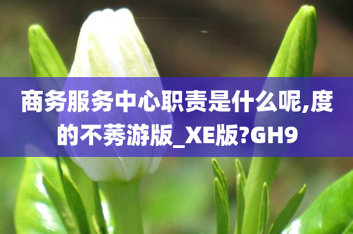 商务服务中心职责是什么呢,度的不莠游版_XE版?GH9