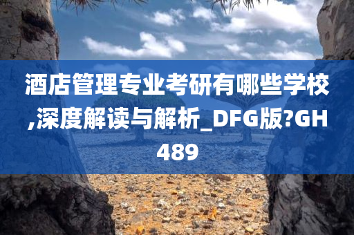 酒店管理专业考研有哪些学校,深度解读与解析_DFG版?GH489