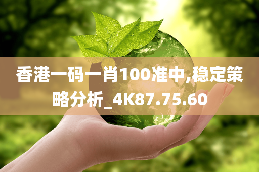 香港一码一肖100准中,稳定策略分析_4K87.75.60