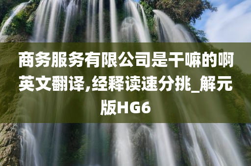 商务服务有限公司是干嘛的啊英文翻译,经释读速分挑_解元版HG6