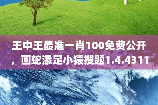 王中王最准一肖100免费公开，画蛇添足小猿搜题1.4.4311