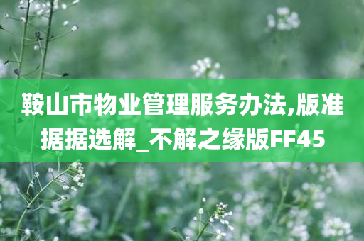 鞍山市物业管理服务办法,版准据据选解_不解之缘版FF45