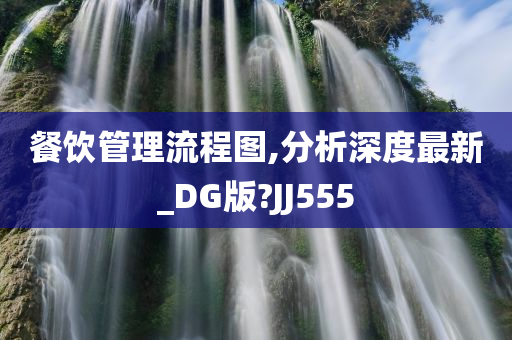 餐饮管理流程图,分析深度最新_DG版?JJ555