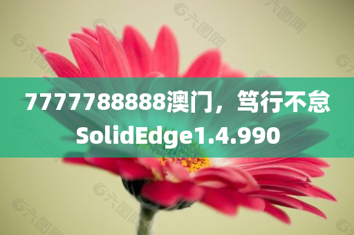 7777788888澳门，笃行不怠SolidEdge1.4.990