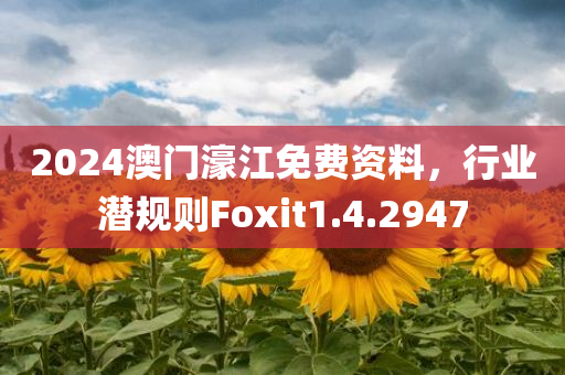 2024澳门濠江免费资料，行业潜规则Foxit1.4.2947