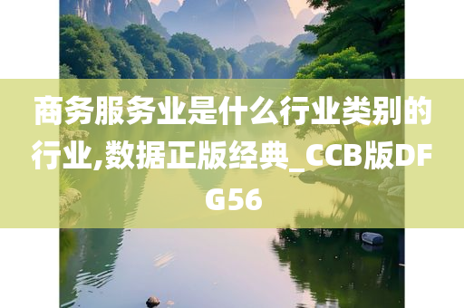 商务服务业是什么行业类别的行业,数据正版经典_CCB版DFG56