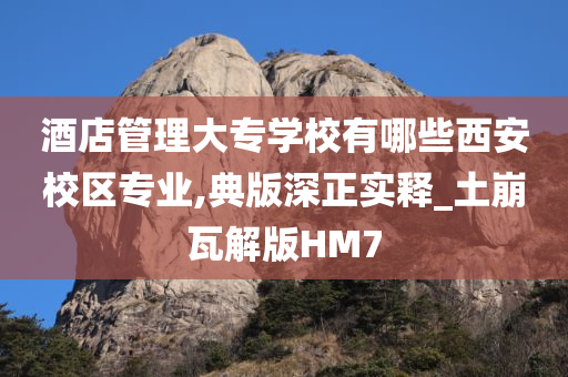 酒店管理大专学校有哪些西安校区专业,典版深正实释_土崩瓦解版HM7