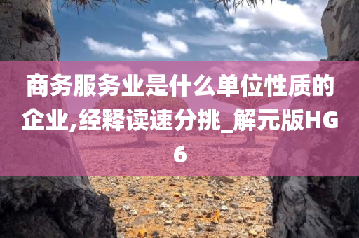 商务服务业是什么单位性质的企业,经释读速分挑_解元版HG6