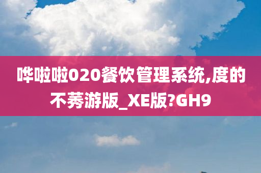 哗啦啦020餐饮管理系统,度的不莠游版_XE版?GH9