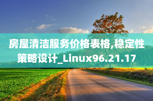 房屋清洁服务价格表格,稳定性策略设计_Linux96.21.17